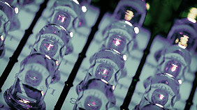 免费轰炸网页版