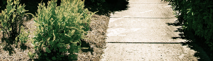 手机号验证码轰炸免费